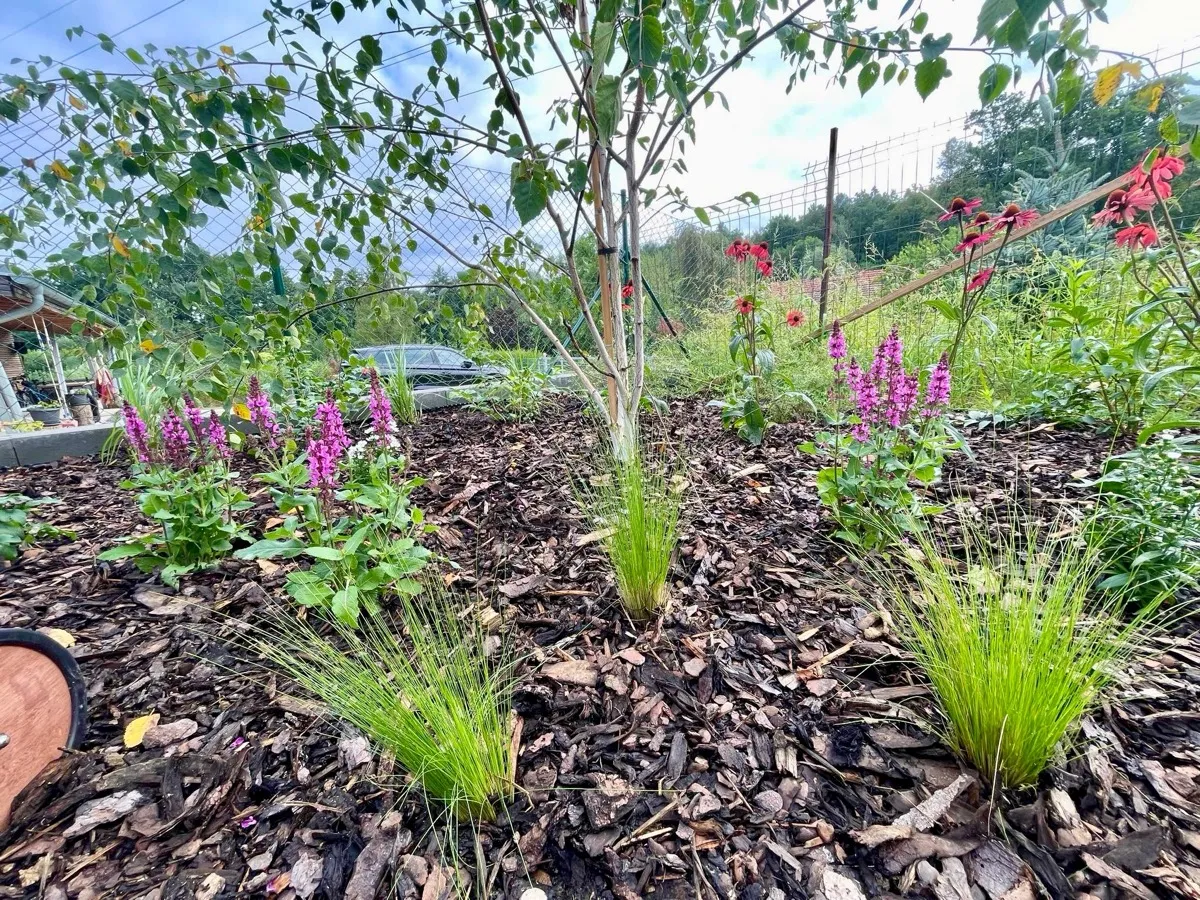 Minimalistická zahrada